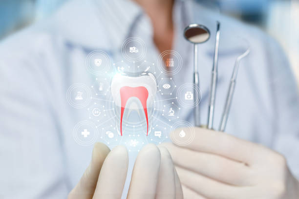 Grass Valley, CA Dental Services Company
